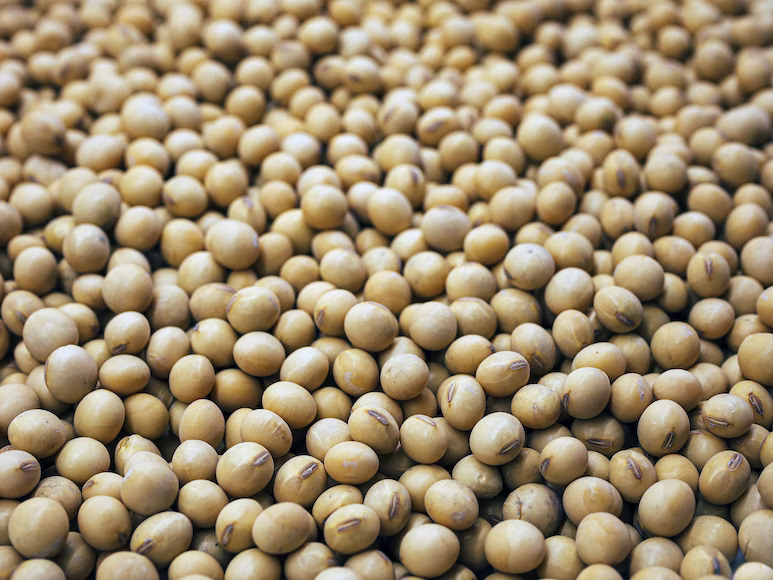 5 Benefits Of Adding Soy To Your Diet